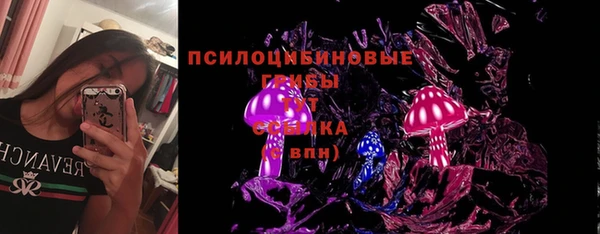 МДПВ Новодвинск