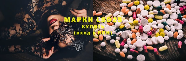 МДПВ Новодвинск