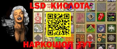 крисы Бийск