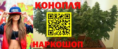 крисы Бийск