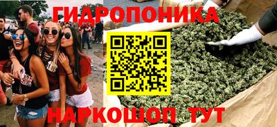 крисы Бийск