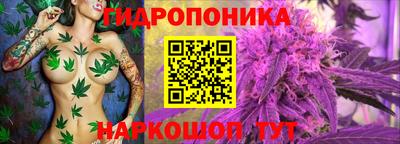 наркотики Кандалакша