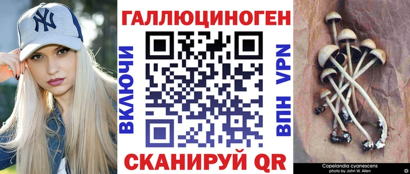 наркошоп  Новодвинск  Псилоцибиновые грибы Magic Shrooms 