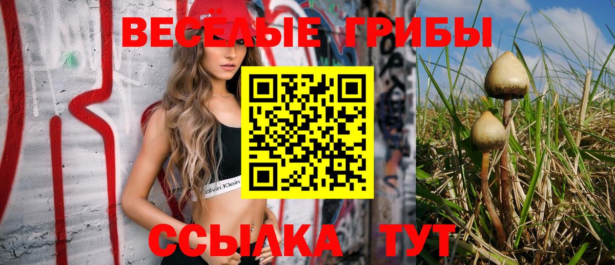 Галлюциногенные грибы Psilocybe  купить закладку  Псилоцибиновые грибы ЛСД  Новодвинск  Вход с VPN 