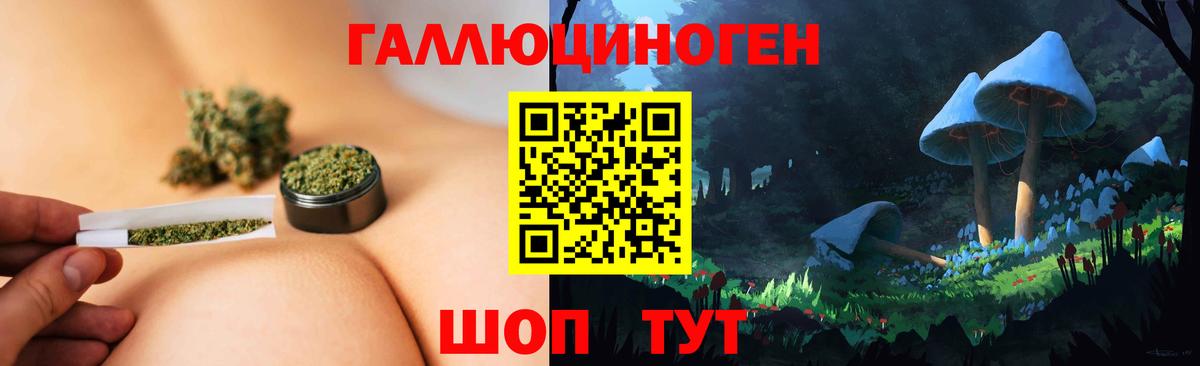 Галлюциногенные грибы Psilocybe  Новодвинск  Галлюциногенные грибы Psilocybe 