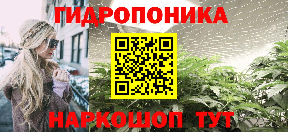 Бошки марихуана VHQ  Бошки марихуана марихуана  Новодвинск  Вход с VPN  Марихуана White Widow 